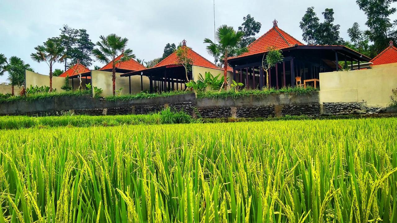 Vrindavan Ubud Villa Tegallalang  Luaran gambar