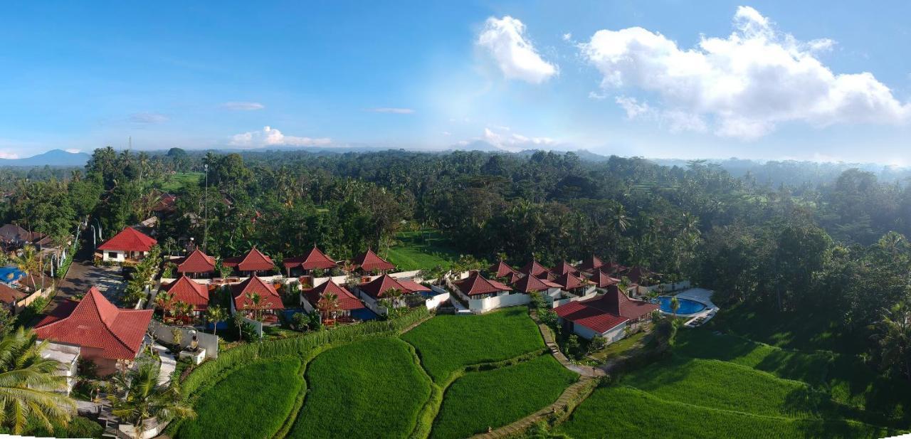 Vrindavan Ubud Villa Tegallalang  Luaran gambar